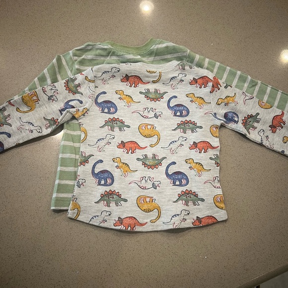 Long sleeve dinosaur tee shirt - Picture 3 of 6